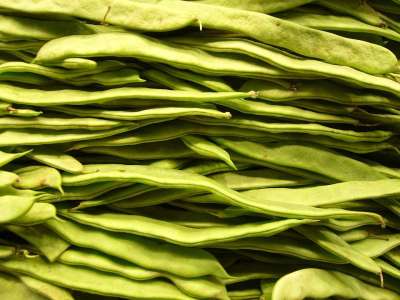 豆类 蔬菜 食物 健康 维他命 营养 食用 有机的 收成 生产