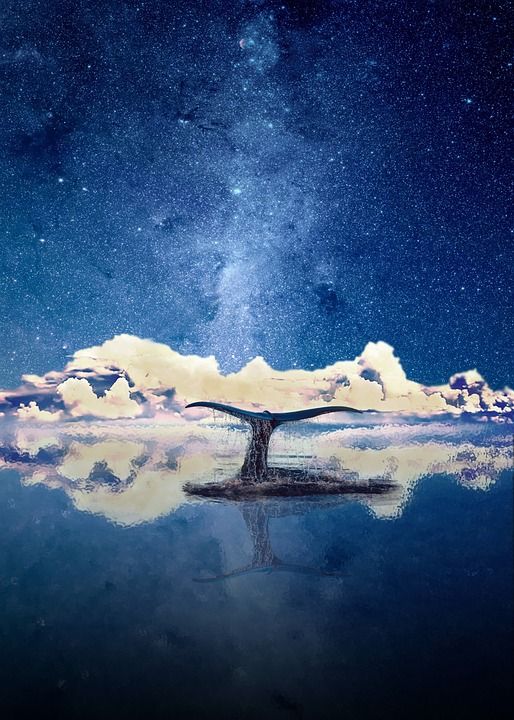幻想 水 天堂 星星 蓝色的 傍晚的天空 星空 银河 宇宙