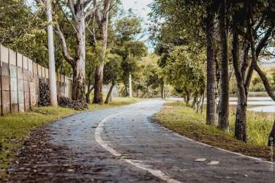 路径 自然 景观 西班牙 路 桥 人 森林 石头 树木 径