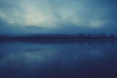 湖 水 反射 薄雾 多雾路段 夜晚 黑暗的 树木 森林 天空