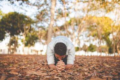 叶子 落下 秋天 树木 植物 自然 人们 男人 祈祷