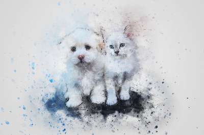 猫 狗 可爱的 艺术 抽象 水彩 优质的 浪漫的 小狗 基蒂