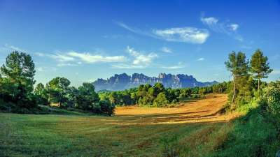 景观 自然 山 全景图 蒙特塞拉特 场地 收成 小麦 森林