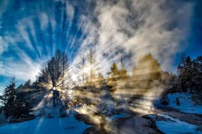 阳光 多雾路段 冬天 太阳光线 雪 森林 树木 薄雾 日落