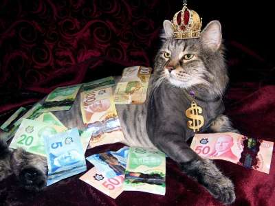 银 猫 丰富 加拿大钱 裸男 银 银 银 银 银 丰富