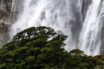 瀑布 树 水域 风景 景观 情绪 风景秀丽的