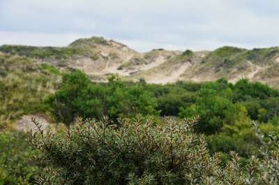 海 海滩 斯特拉海滩 Hauts De France 度假村 该家居型