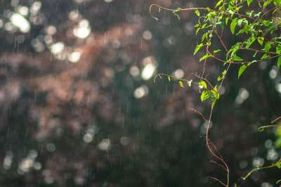 下雨 照片 模糊 数码单反相机