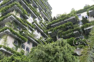 高楼 中国 城市 绿色 植物 阳台