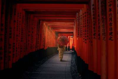 千本鸟居 牌坊 日本女人 日本人 千鸟居 红门 神 小路 走道