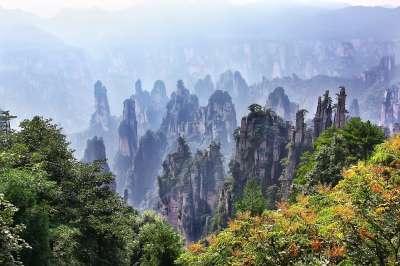 张家界 景观 旅行 山 美景 峰 中华人民共和国 张家界 张家界