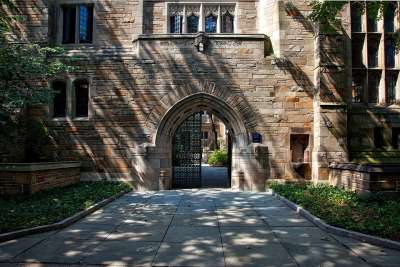 耶鲁大学 景观 大学 学校 校园 教育 常春藤联盟 建筑物 结构
