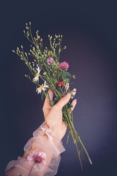 花朵 植物学 野花 工厂 装饰 手 物体拍摄 捧花束 手指 套