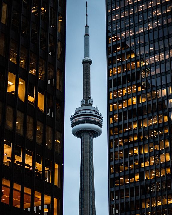 塔 建筑物 多伦多 城市 Cntower 加拿大 天际线 城市景观