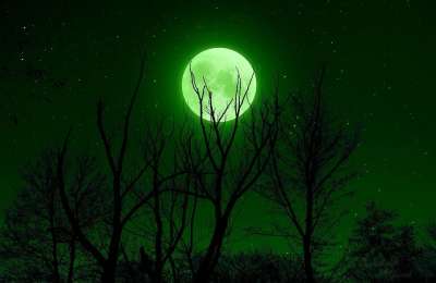 满月 绿色 夜晚 星星 天空 树木 轮廓 射击 捕获