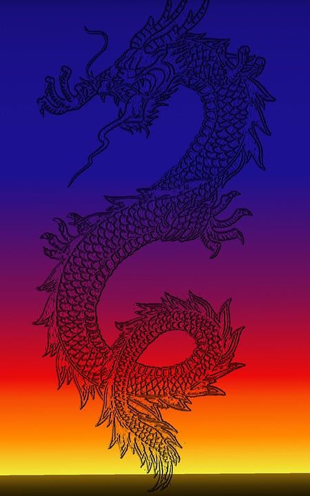 龙 动物 生物 爬虫 幻想 飞行 神话 轮廓 中国 图例