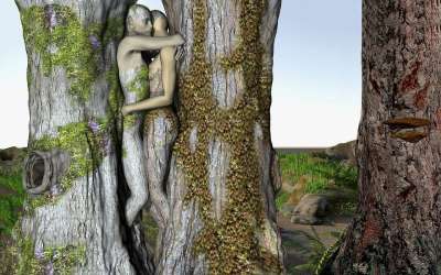 幻想 森林 童话 浪漫的 幻想图片 蒙太奇 魔术 神秘 想像力