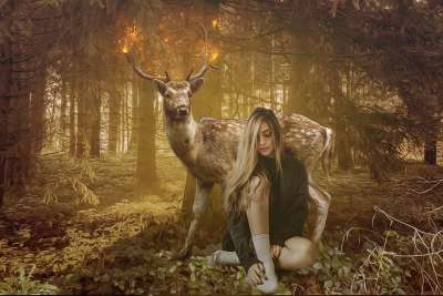 幻想 童话 梦 场景 木头 光 讨好 角 魔法号角 女士