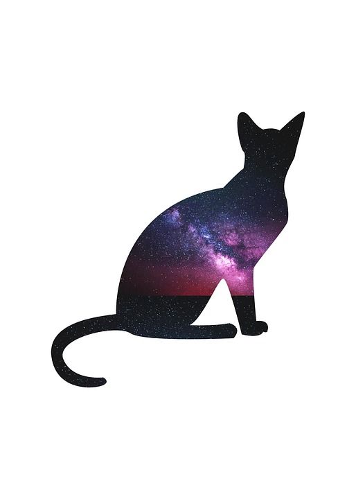 猫 外太空 星系 空间 星星 幻想