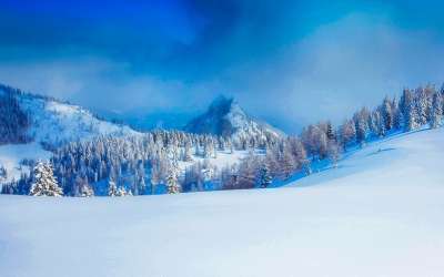 奥地利 冬天 雪 雪堆 森林 树木 景观 山 自然 户外