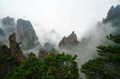黄山 山 山脉 多雾路段 树木 中国 黄山 黄山 黄山 黄山