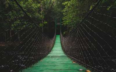 桥 小路 走道 暂停 野营 旅行 漫步