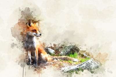 自然 动物 森林 狐狸 绘画 水彩 有创造力的 艺术品 画画