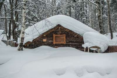 西伯利亚 雪 木屋 针叶林 冬天