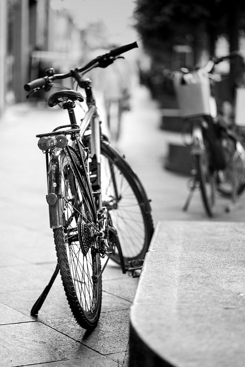 自行车 旅行 运输 冒险 单色 户外 循环 车轮 车辆 城市