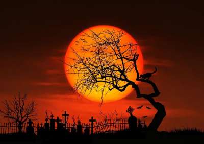月亮 夜晚 满月 Gespenstig 神秘 午夜 可怕的 气氛