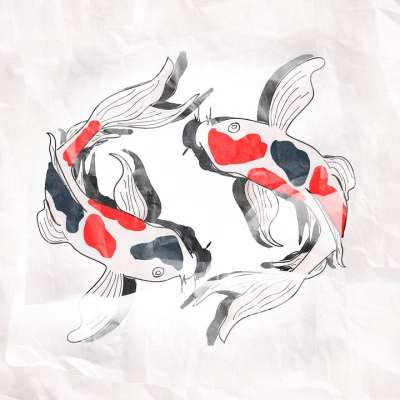 鱼 鲤鱼 锦鲤 画画 卡通片 卡通鱼 卡通鲤鱼 卡通锦鲤