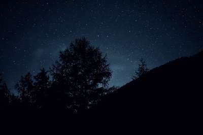 星空 树 夜晚 星星 银河系 宇宙 轮廓 天堂 黑暗的 景观
