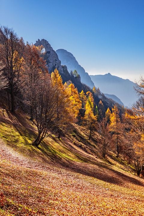 景观 山 秋天的心情 远足 树