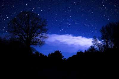圣诞节 星星 节日快乐 冬天 圣诞树 尼古拉斯 圣诞老人