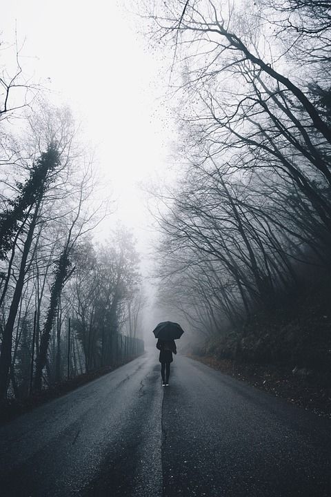 人们 女士 步行 远足 跋涉 雨伞 雨 独自的 路 旅行