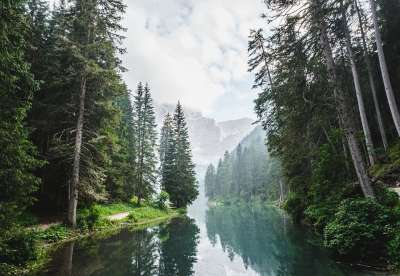 河 树木 山 针叶树 针叶 针叶林 森林 林地 反射 水中倒影