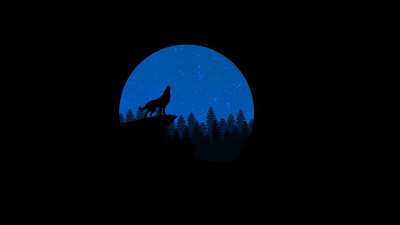 狼 嚎叫 夜晚 动物 荒野 自然 野生动物 设计 头 月亮