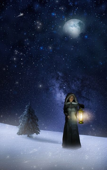 女士 灯笼 雪 月亮 头像 女性 女性头像 月光 星星 树
