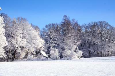 冬天 景观 雪 寒冷的 冬季景观 下雪的 安静的 白色的 蓝色的