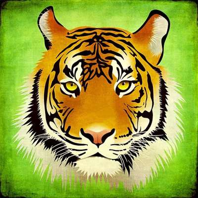 老虎 猫 大猫 野生动物 肖像狮子 肖像 动物 壁画 海报