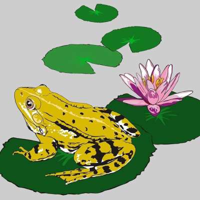 青蛙 巴特拉奇安 Crapeau 水陆两用 Adobe