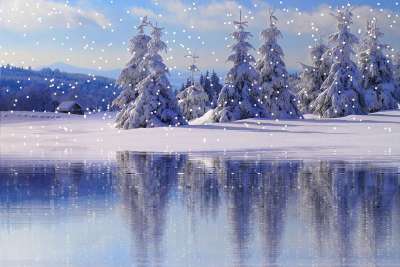 冬天 雪 降雪 寒冷的 冬季景观 雪景 雪晶 雪覆盖 雪景
