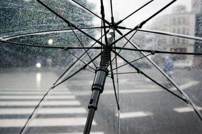 雨伞 雨 湿的 天气 寒冷的 雨滴 清楚的伞 城市 人行横道