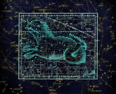星座 星座图 天堂 星星 星空 制图 天体地图绘制