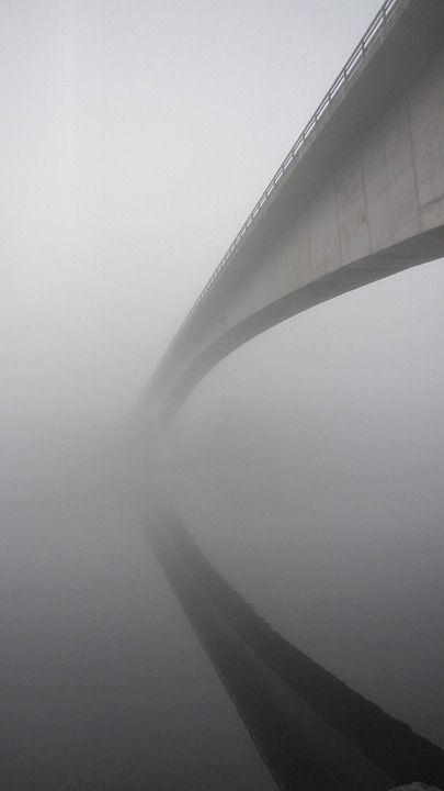 桥 多雾路段 镜像 清晨 神秘的 路