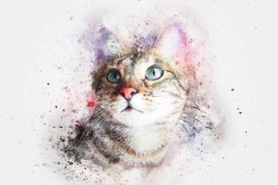 猫 看着 基蒂 动物 水彩 优质的 自然 丰富多彩的 艺术的