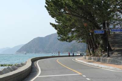 帐篷 野营 海洋 露营地 海滩 树 风光 大自然 早晨