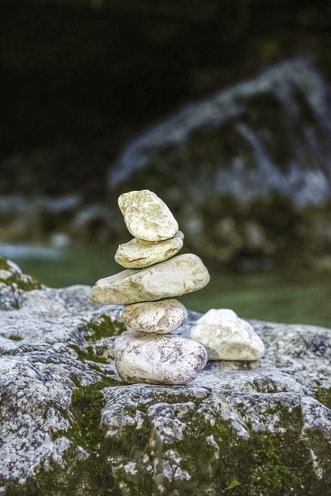 水 溅 森林 景观 自然 流动 美丽的 级联 绿色 电 短裙