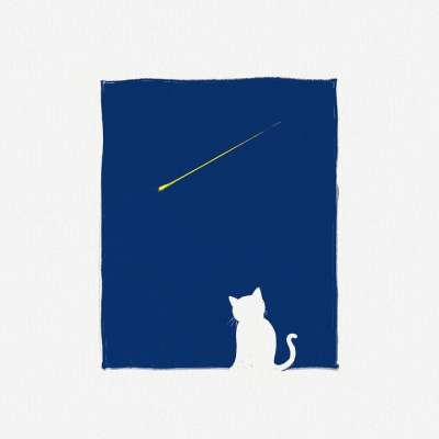 童话故事 猫 夜晚 流星 流星 流星 流星 流星 流星