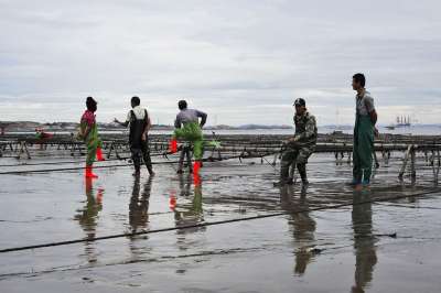 Fishermen Catching The Sea